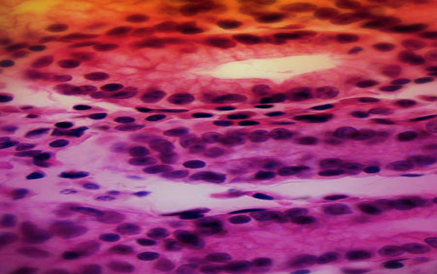 Decorative Carousel Image Decorative Carousel Image